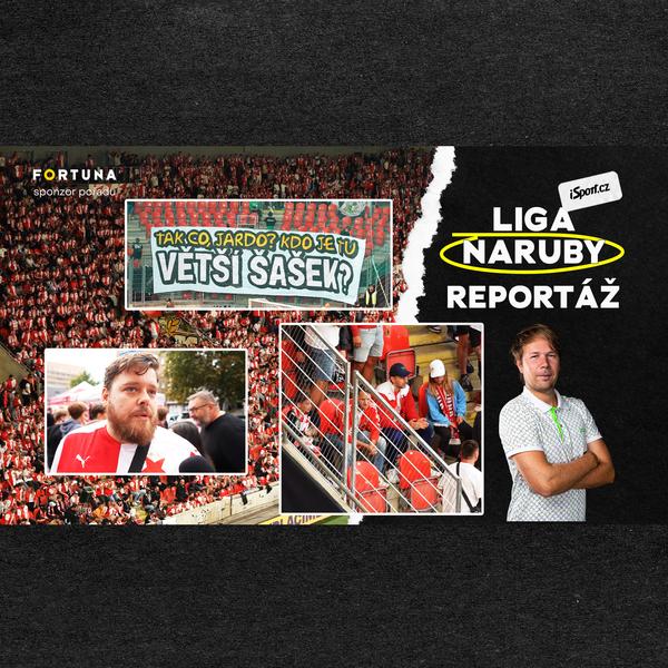 Liga naruby